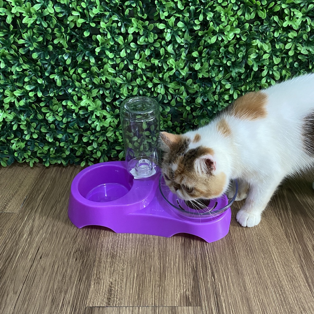 Pet Plate Mangkuk Tempat Makan dan Minum Kucing 350ml 2in1