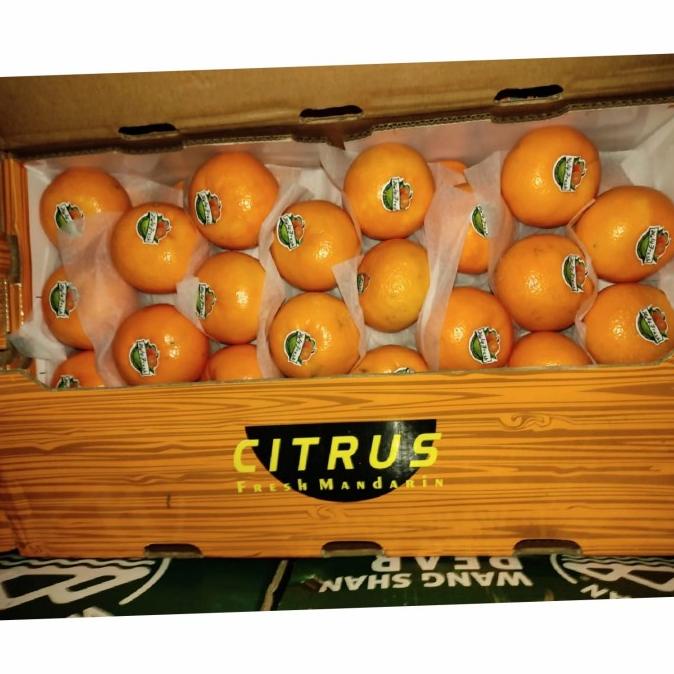 

BUAH JERUK MANIS MURAH WOKAM CITRUS FH51515ED