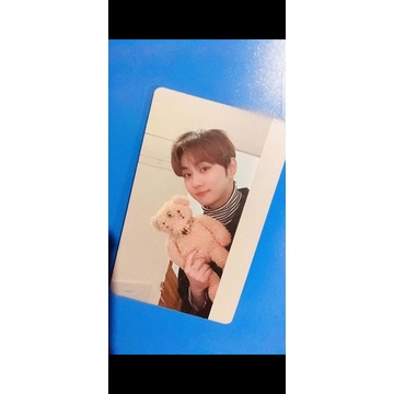 Photocard jungwon boneka