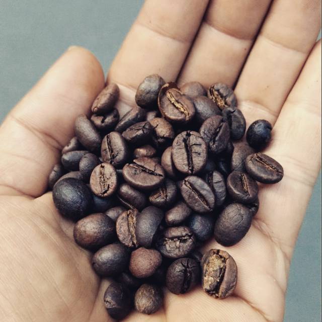 

Roasted Coffee Bean - Robusta 100 gr