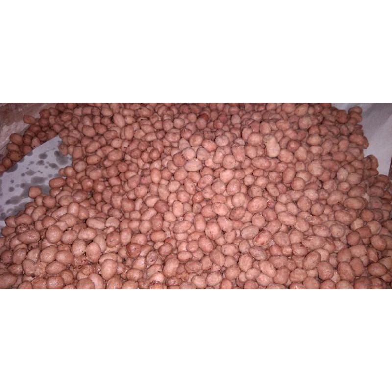 

Kacang Telur Wonogiri 500gram