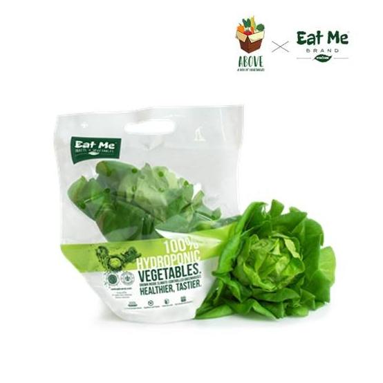 

Green Butterhead Pack Hidroponik- ABOVE x EATME Brand