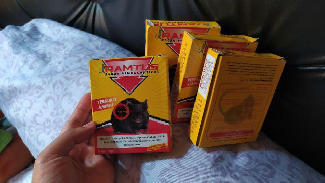 Racun Tikus Pembasmi Hama Mati Kering Paling Ampuh - Temanggung