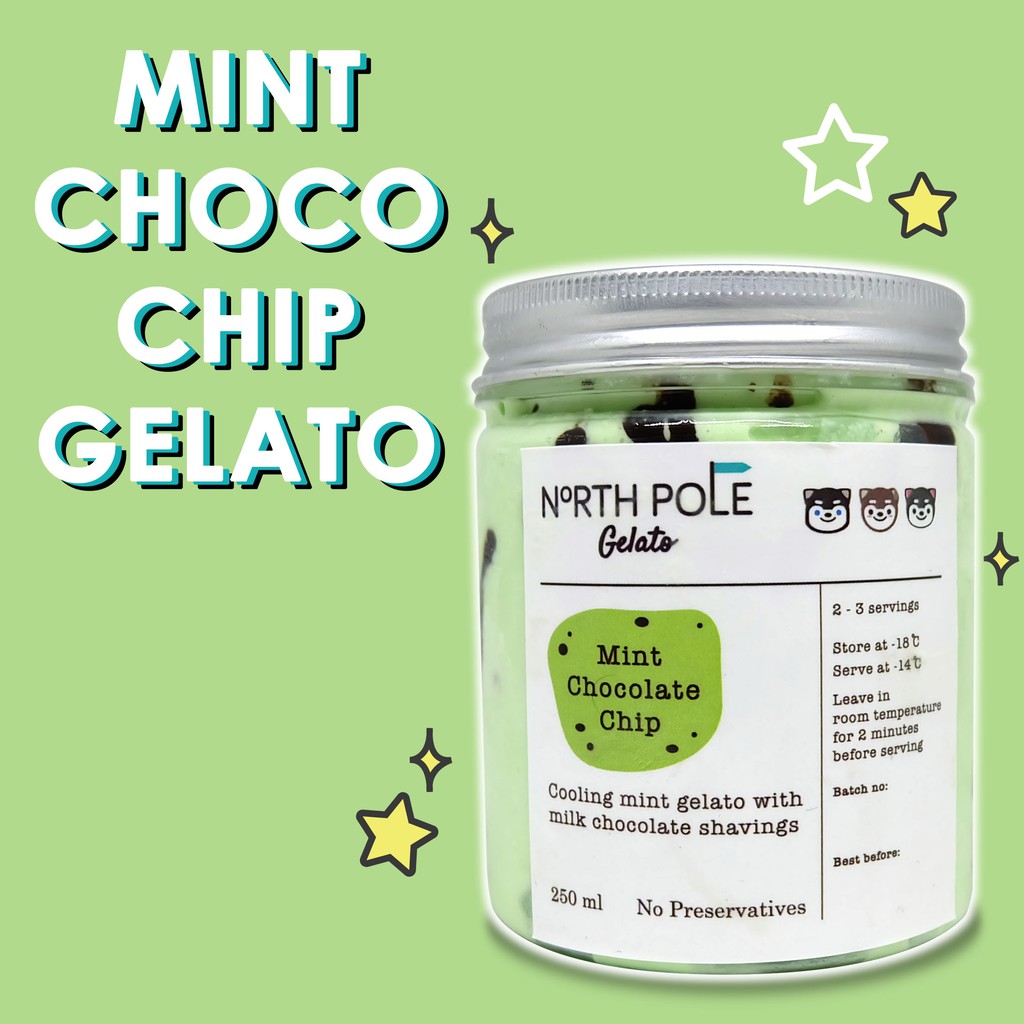 

Mint Chocolate Chip Gelato - North Pole Gelato