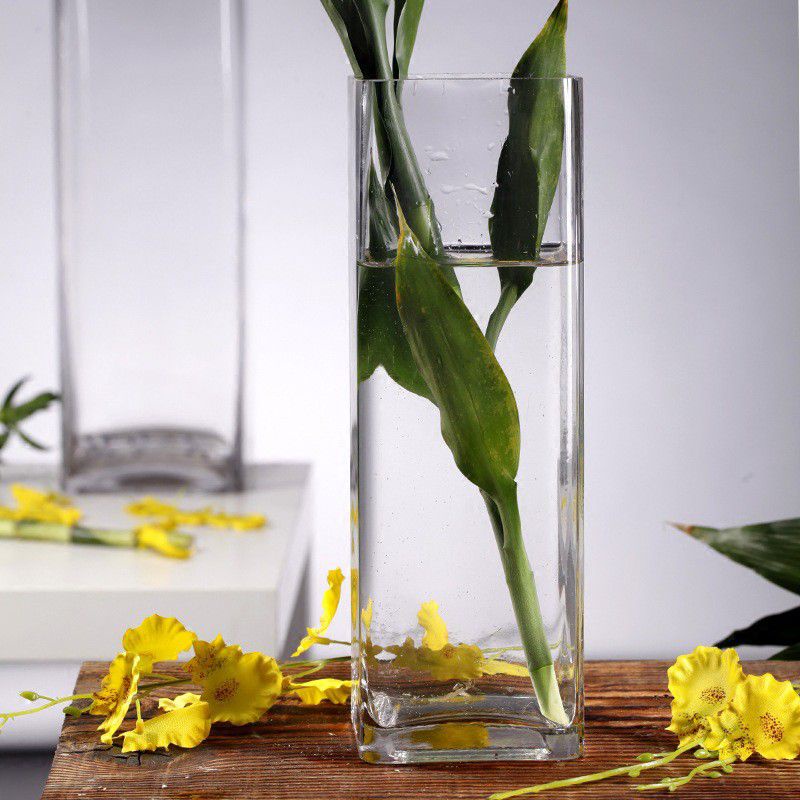 Vas Bunga Kaca Bening Tinggi / Vas Kaca Dekorasi ruangan / Vas bunga hidup