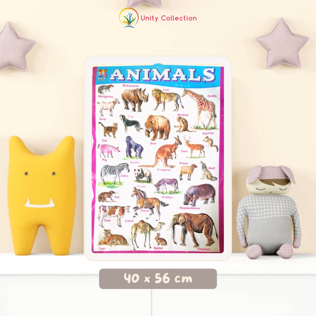 Jual Poster Timbul Pendidikan Anak Belajar Animal Binatang Hewan ...