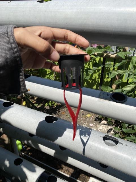 Paket 2pcs Nampan Alas Tray + 2pcs Tray Semai 200 Lubang