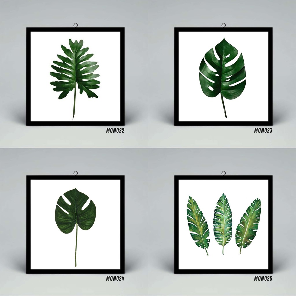 25+ Inspirasi Keren Motif Daun Monstera Gambar Daun Untuk Hiasan Dinding