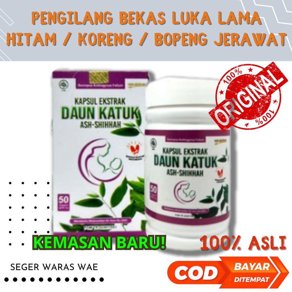 KAPSUL EKSTRAK DAUN KATUK Pelancar Asi / Asi Booster / Penambah Zat Besi dan Nutrisi Ibu Menyusui / Kapsul Daun Katuk