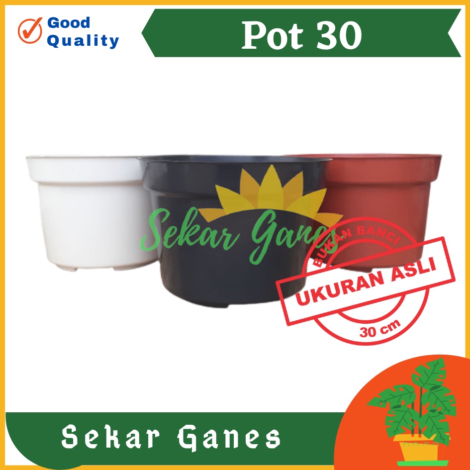 Pot 30 Putih Hitam Merah Bata Coklat Terraccota Terakota Polos Pot Bunga Pot 30 Murah Grosir Lusinan Pot 30 Putih Polos Murah Grosir