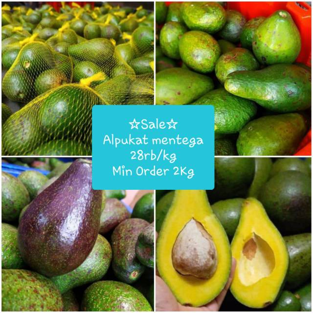 

SALE ALPUKAT MENTEGA min order 2kg