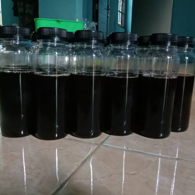 

Madu Asli Hutan Riau