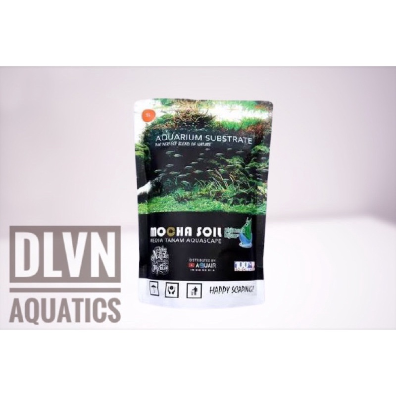 Soil aquascape