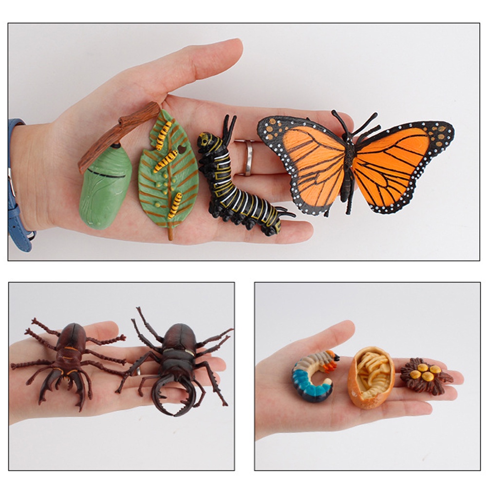 WONDERFUL Kindergarten Teaching Animals Growth Cycle Butterfly Ladybug Figurine Simulation Early Education Life Cycle Kids Toy Chicken Dragonfly Model