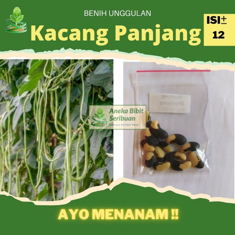 12 Benih Kacang Panjang hibrida Unggul