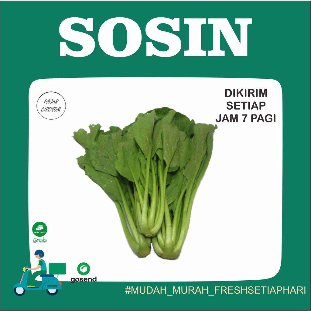 

PROMO SAWI SOSIN CAISIM FRESH MURAH BANDUNG 1KG / SAYUR ONL..