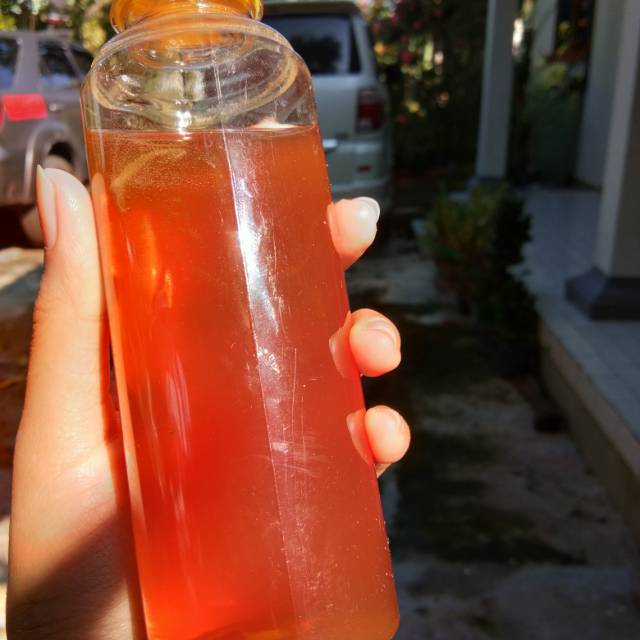 

MADU ASLI tawon liar / lebah jawa / madu ndowan