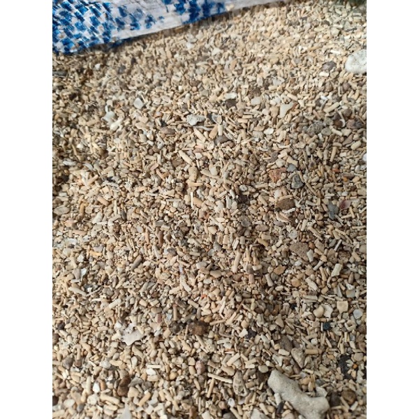 pasir aquascape pasir semut