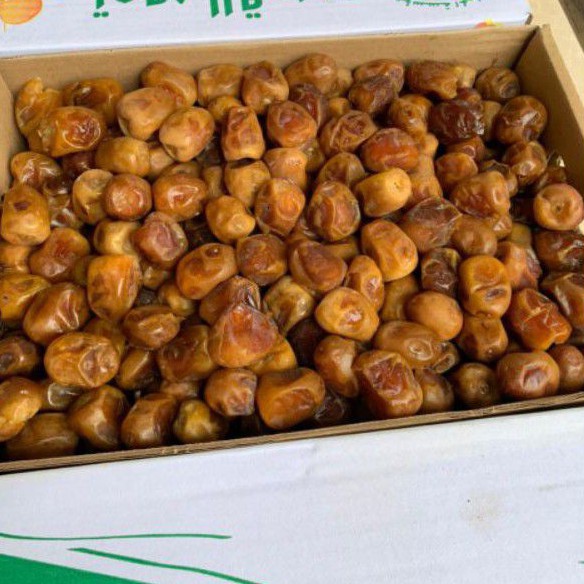 

KURMA RAJA SUKARI AL QASSIM ASLI DUS BASAH GROSIR PREMIUM 3 KG