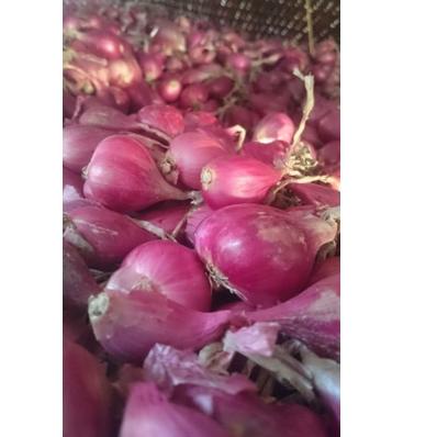 

6.6 Promo Brand bawang merah kering asli brebes (sedang) 1kg gas !!