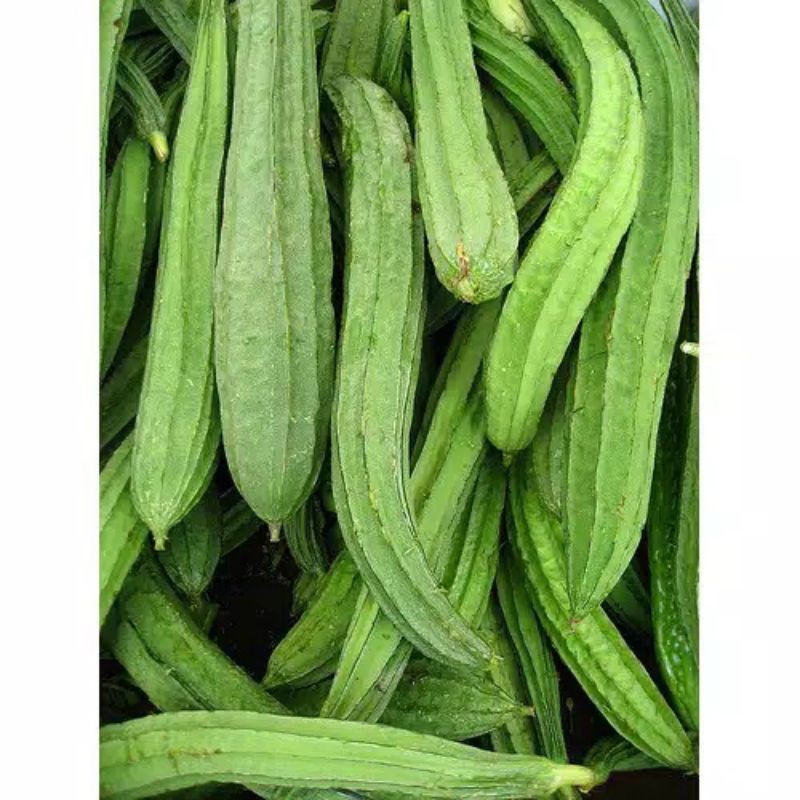 Biji/ Benih / Seeds Oyong Sayur Oyong Manis gurih Renyah