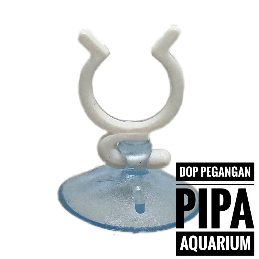 DOP PIPA AQUARIUM AQUASCAPE