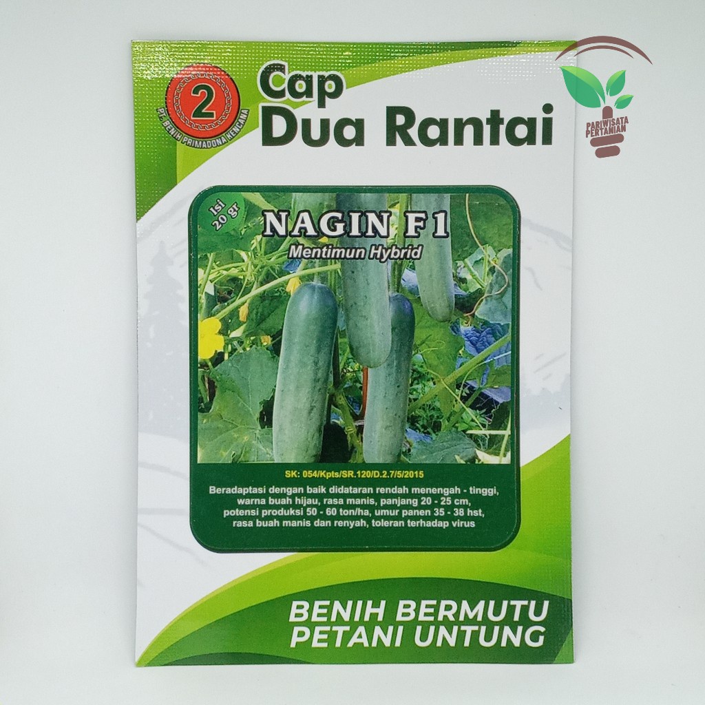 Nagin f1 benih timun  Mentimun Hibrida Timun Unggul Buah Besar dan lebat Tahan Virus