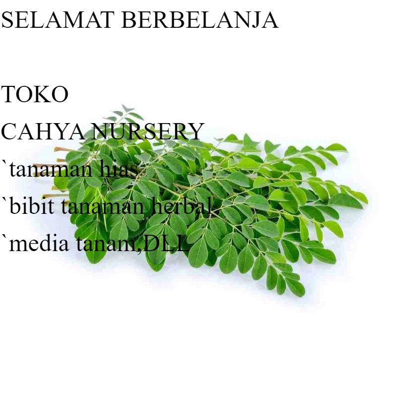 

PROMO Daun kelor segar kemasan 250 gram