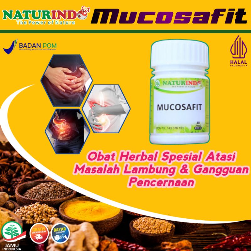 Jual Obat Lambung Kronis Herbal Maag Kronis Asam Lambung Asam Lambung ...