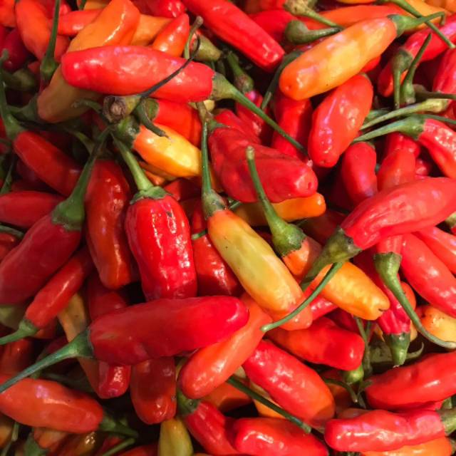 

cabe rawit merah super