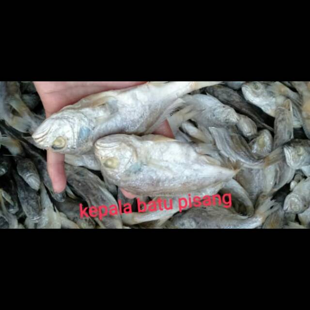 

Ikan Kepala Batu Pisang / 250 gram