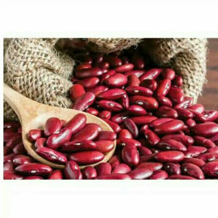 

Kacang Merah Organik 100 gr