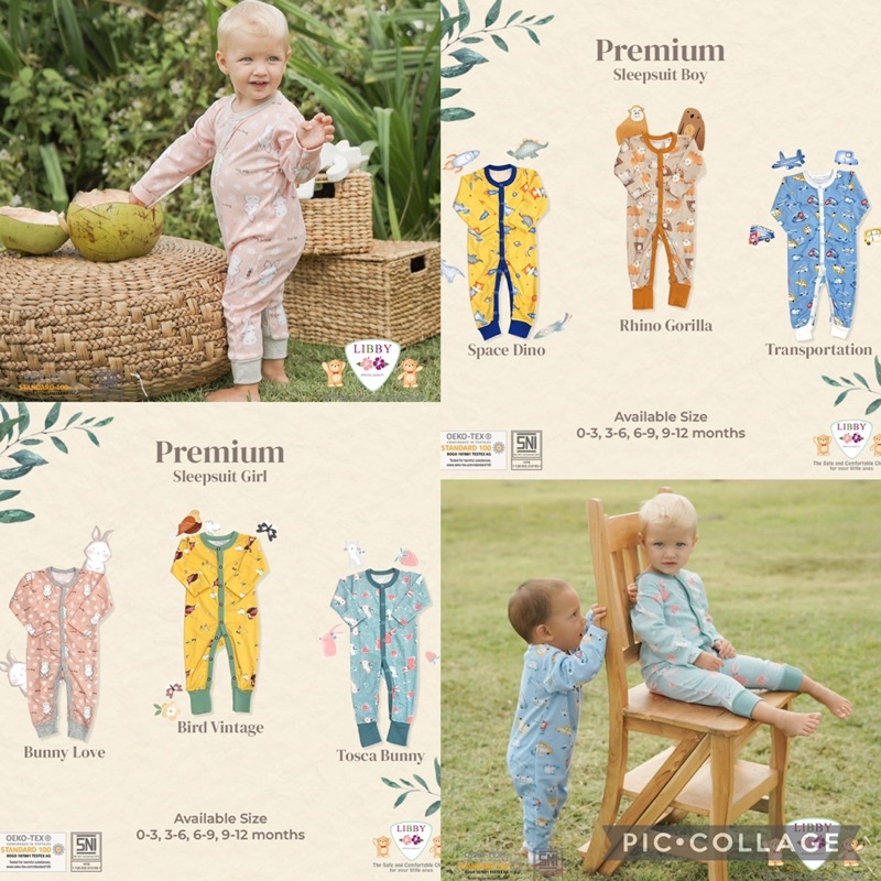 1pc Sleepsuit print Libby premium Boys &amp; Girls Size Nb-1th