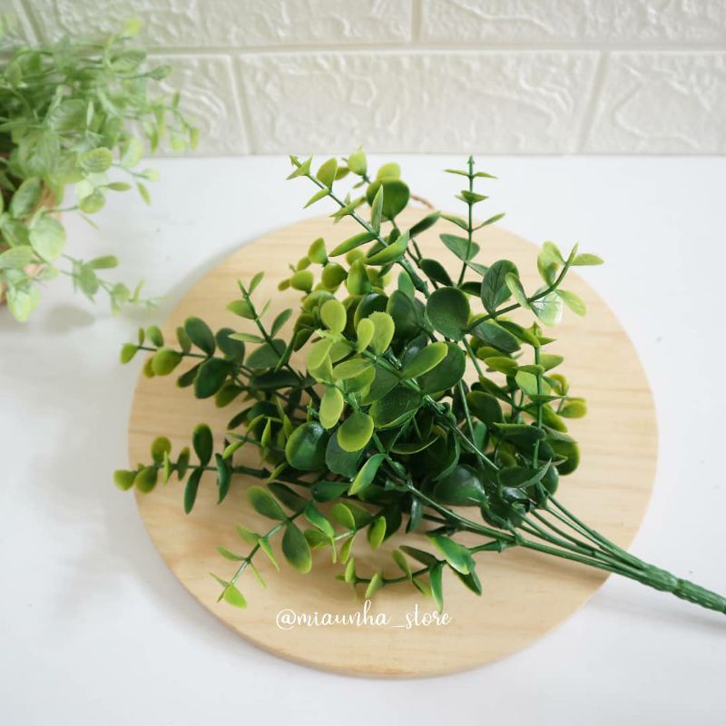 [Artificial] daun eucalyptus bulat besar