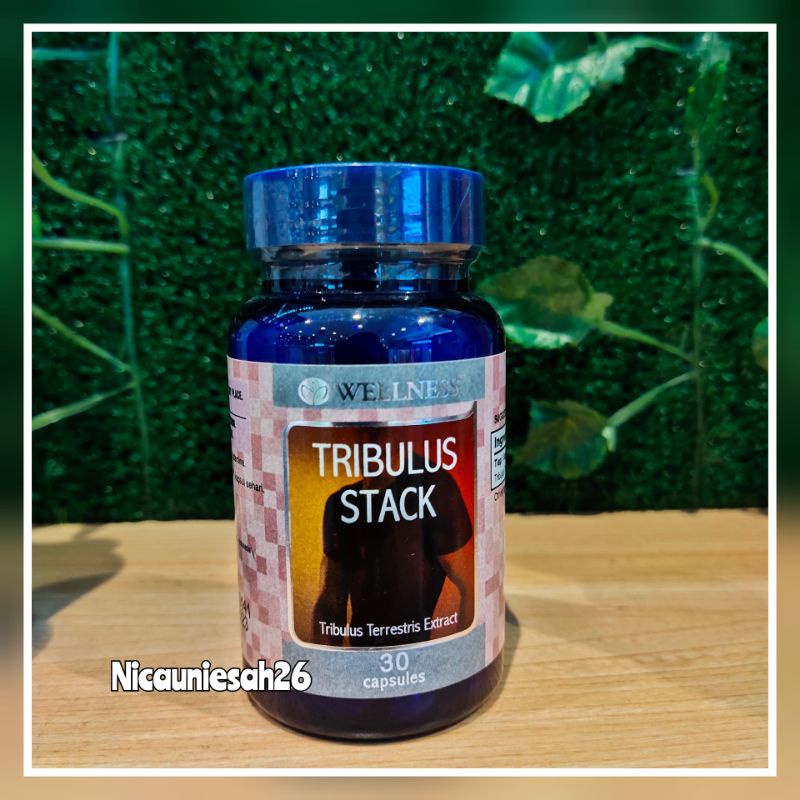 Wellness Tribulus Stack (30 Caps) / Stamina untuk Pria Dewasa