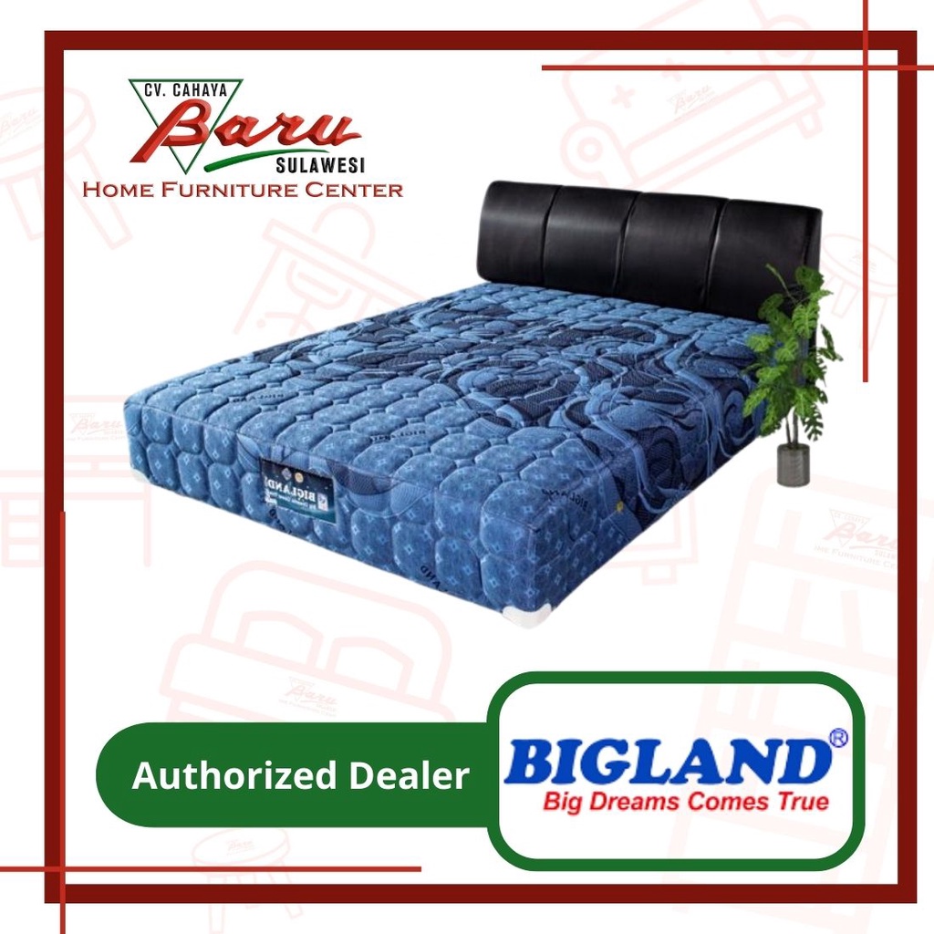 SET Spring Bed Bigland Single Bed