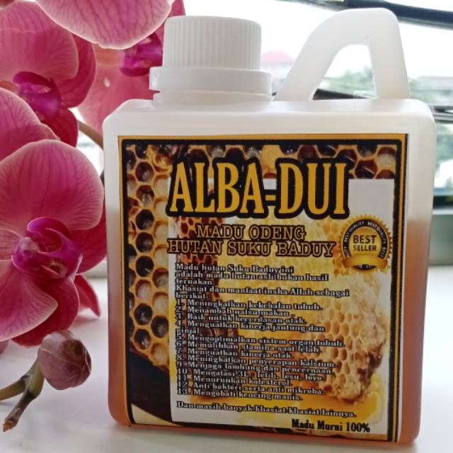 

Madu AlbaDui, Madu Asli, Madu Odeng Hutan Suku Baduy dari Lebah Apis Dorsata