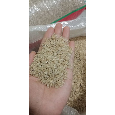 

Beras Coklat
