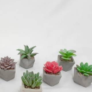 Artificial cactus cactus mini kaktus  plastik kaktus  