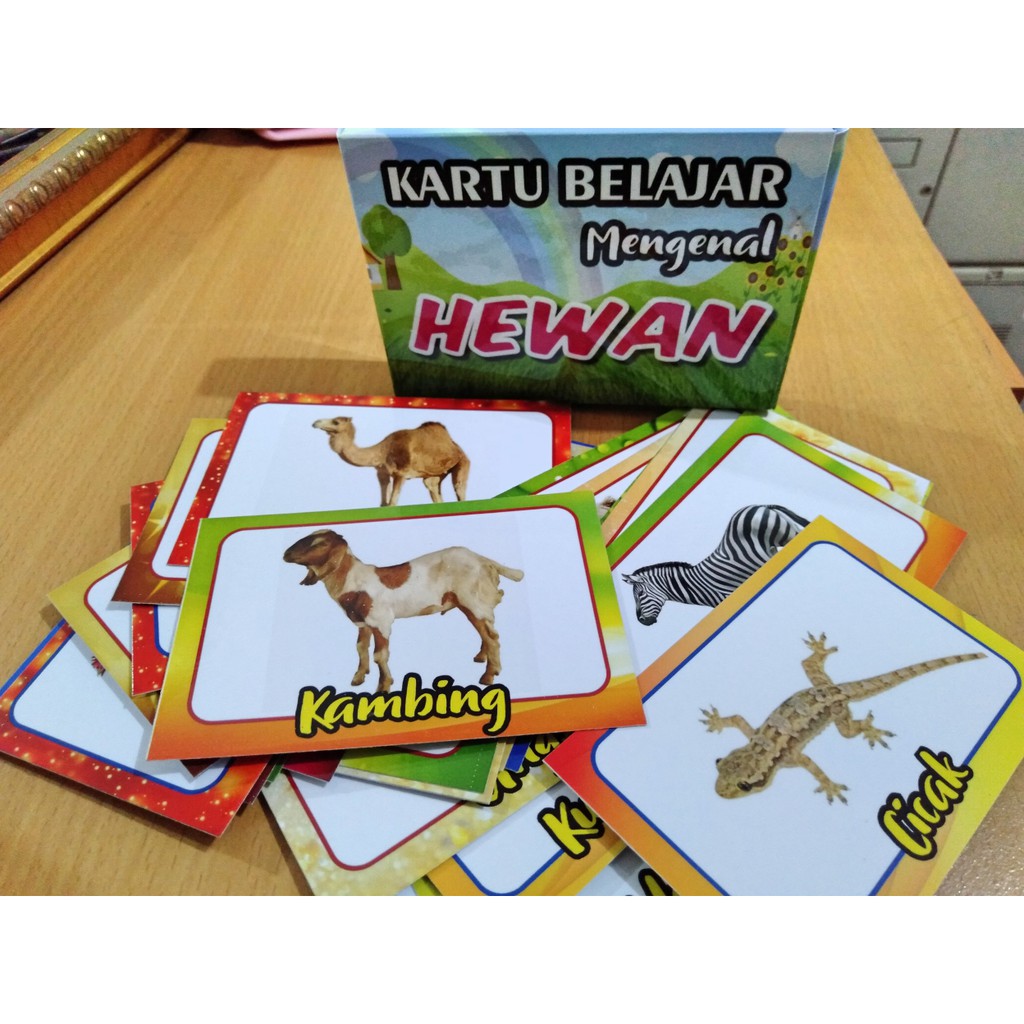 flash card kartu belajar mengenal Hewan, Sayur, dan buah (paket) 3 box