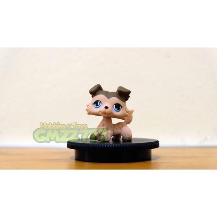 Toys Lps Littlest Pet Shop Collie #893 Mainan Anak Perempuan Hasbro