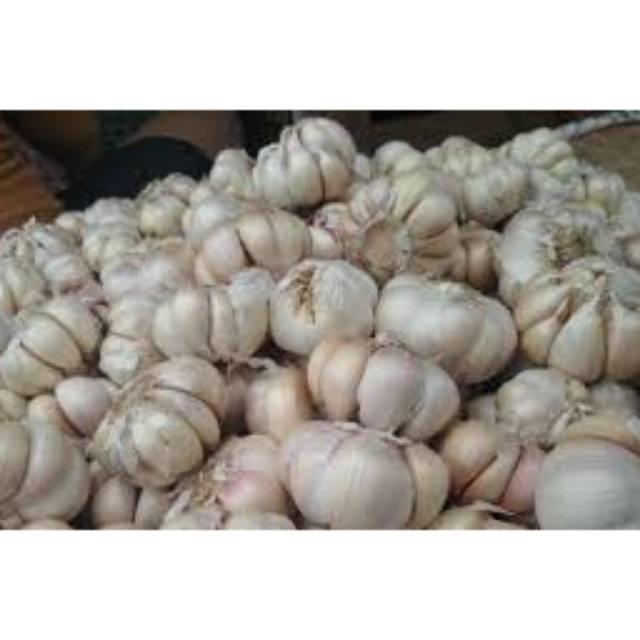 Bawang Putih / Berat 500 gram