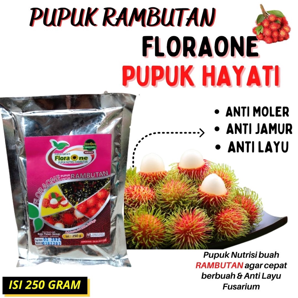 Pupuk Booster Buah Rambutan,Pupuk Hayati Rambutan Agar Cepat  Berbuah dan Cepat Besar