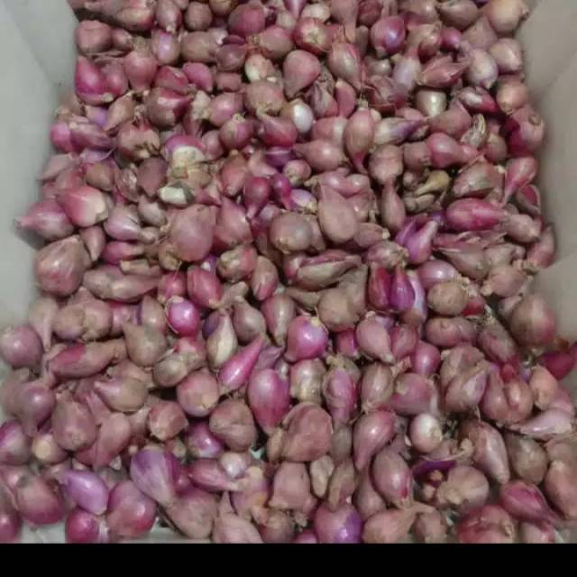 

Bawang merah per kg