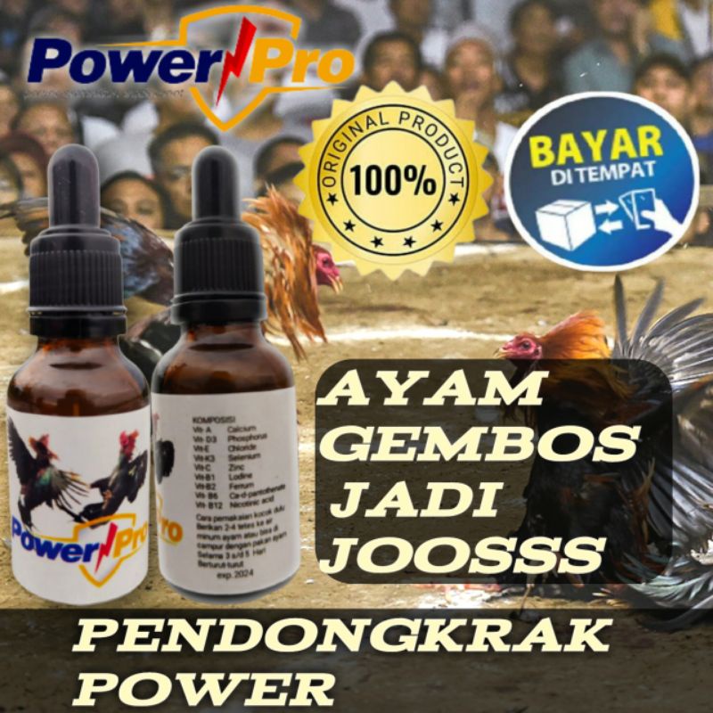 Suplemen ayam bangkok Suplemen ayam aduan Suplemen ayam petarung Jamu ayam aduan kuat nafas dan tena
