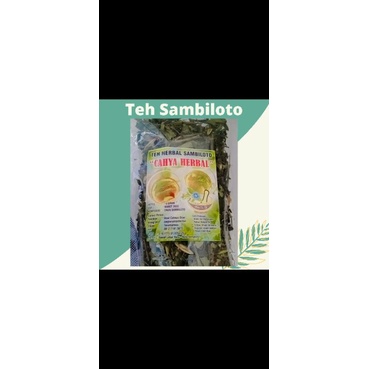 

Teh Sambiloto