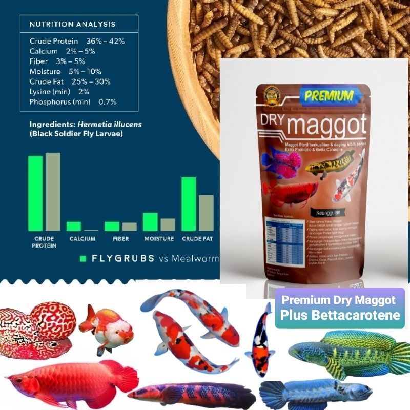 PREMIUM DRY MAGGOT,  Magot Kering Steril plus Probiotic &amp; BettaCarotene