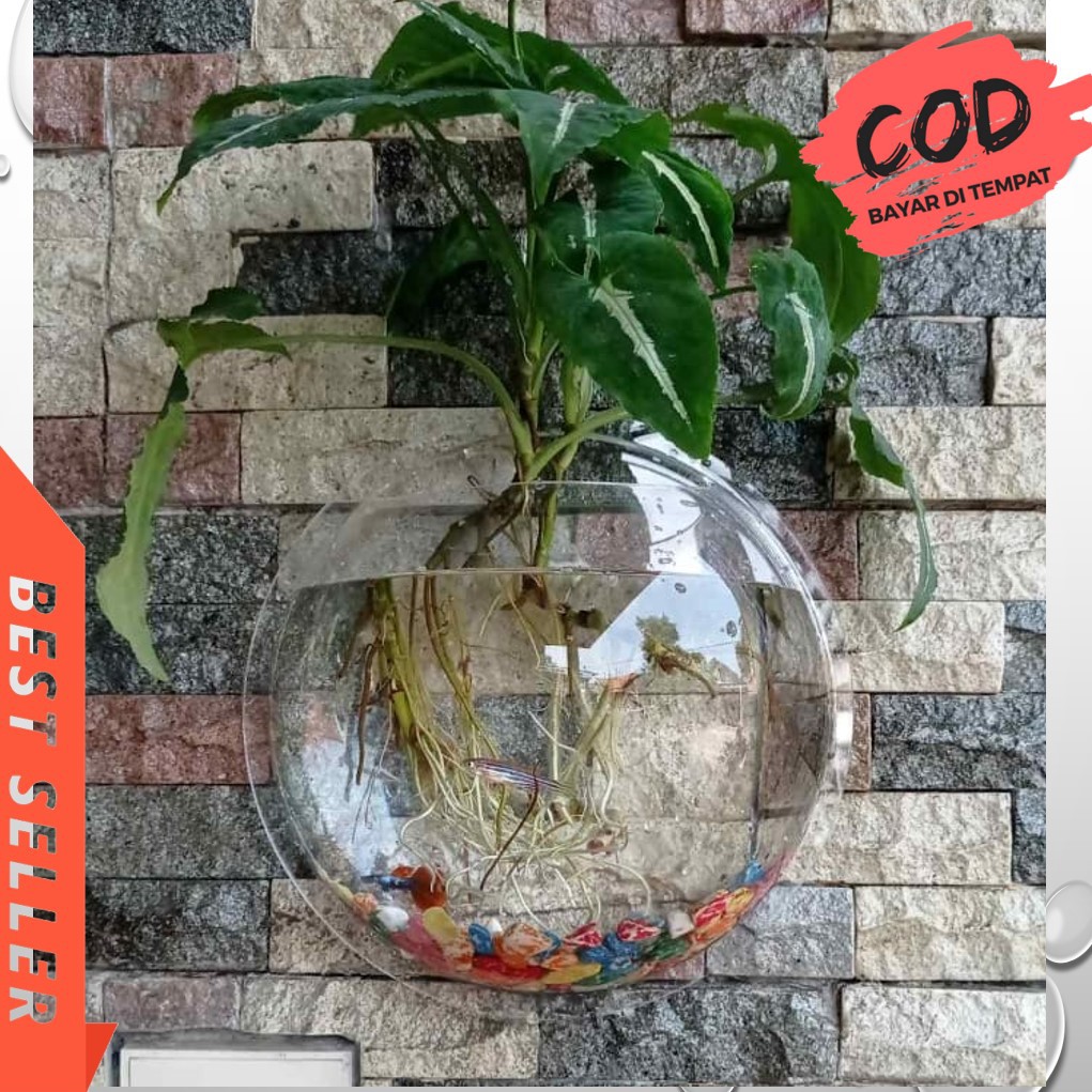 aquarium dinding mini acrylic   vas bunga diameter 16 5cm
