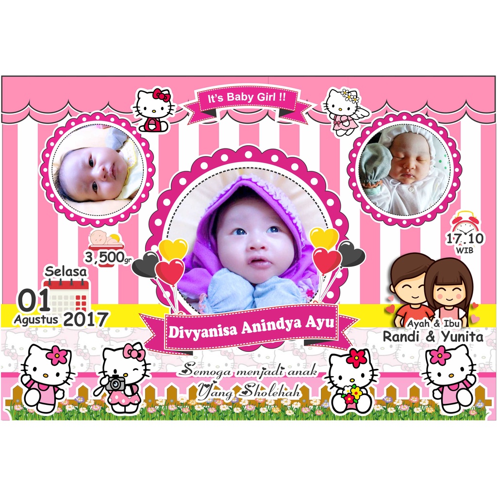 CETAK BIODATA BAYI UKURAN BESAR 17R/12Rs (48x32)cm-18