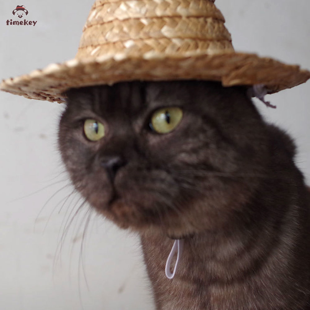 【TK】Topi Jerami Mini Untuk Aksesoris Anjing/Kucing Peliharaan